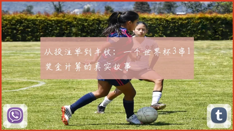 从投注单到丰收：一个世界杯3串1奖金计算的真实故事