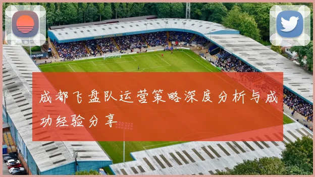 成都飞盘队运营策略深度分析与成功经验分享